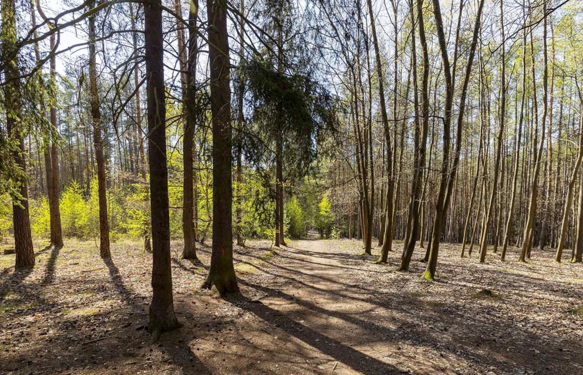 Laskara Garden Apartment By Prague Forest Nové Jirny المظهر الخارجي الصورة